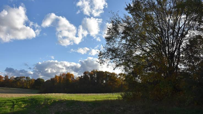 In 1988, Ohio attorney Neil McKown secretly bought 155 neglected acres; 38 years later...