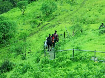 Experts propose 'carbon bank' to monetise Maharashtra's ecological wealth
