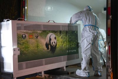 Pandas depart China en route to Atlanta’s zoo for 10-year stay