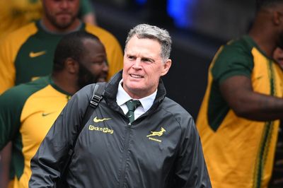 Rassie Erasmus admits Springboks gamble after Australia defeat in Perth thriller