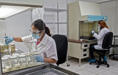 Why Global MedTech Giants Are Now Betting on Costa Rica Over Asia for Smart Factories