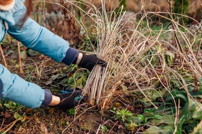 7 Garden Cleanup Jobs That Can Actually Wait Until Spring