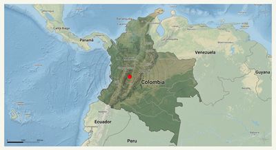Colombia's Rough Weekend: A 4.5 Quake in Tolima and a New Hemispheric Security Pact, Explained