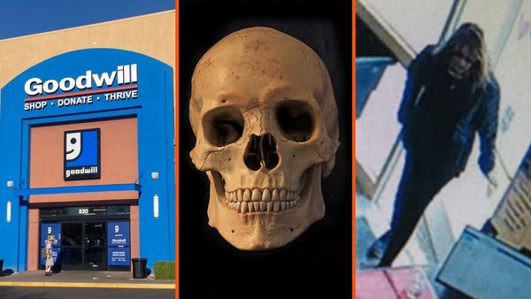 Michigan woman drops off a tote at Goodwill, then staff unwraps a human skull. Cops said it was fake, but it wasn’t, and the FBI finally steps in
