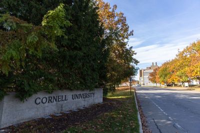 Ex-Cornell student sues fraternity members and college over alleged gang rape and claims several were punished with essay-writing