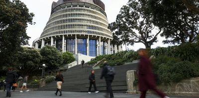 What do NZ voters really care about? A global comparison reveals some surprises