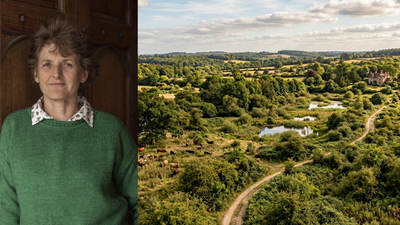Isabella Tree and her husband abandoned farming on 3,500 acres for rewilding