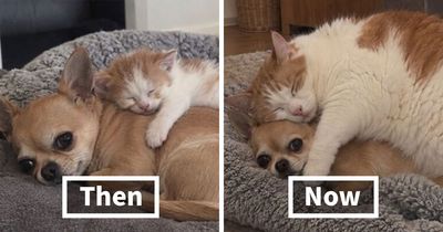 34 New Pics Captured At The Perfect Moment, Shared By ‘Important Animal Images