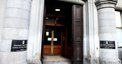 Woman sentenced over neglect of 'morbidly obese' horse