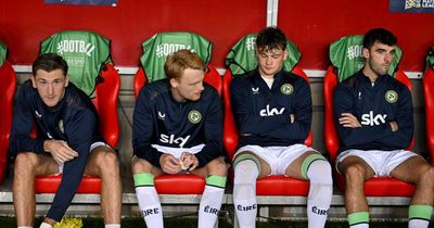 Liam Scales and his Ireland teammates are easy targets, but the wrong ones