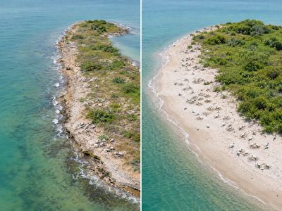 In 2014, Texas dumped 126,000 cubic yards of mud dug from a ship channel onto a shrinking island; the unusual move rebuilt about 5 acres for nesting birds
