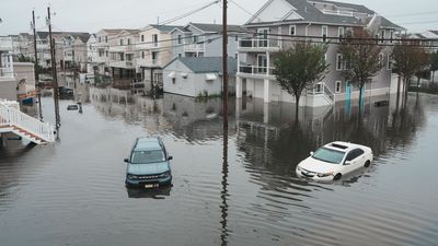 Shark spotted swimming down flooded Atlantic City street, ‘This storm is no joke’