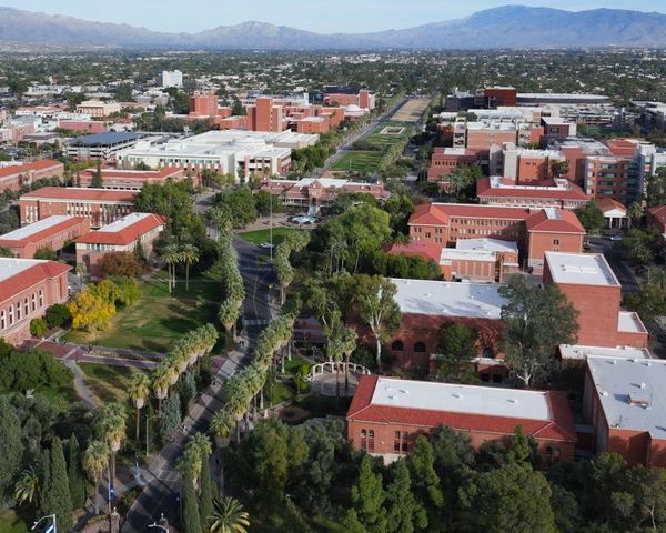 Arizona frat suspended after allegedly making new recruits swallow live goldfish