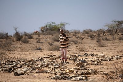 Climate aid driving up public debt of poorest countries by billions of pounds each year