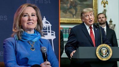 ‘Trump did everything he could to help Republicans lose’: Former GOP rep pins the President for potential midterm catastrophe
