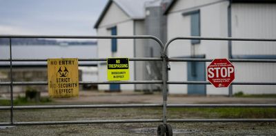 How does a bird virus infect a person? Surprising findings from B.C.’s human case of H5N1 avian flu