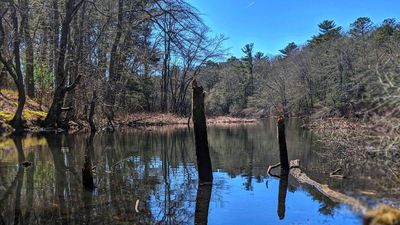 Minnesota couple expands 20 acres into 655-acre Montana conservation haven