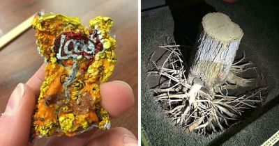 “What Happens If?”: 80 Interesting And Cool Photos Of Things You Might Not Have Seen Before