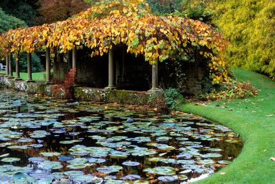12 picturesque gardens you need to visit this autumn
