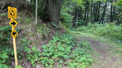 Wisconsin family to keep logging 1,800 acres as $1.6 million deal blocks development