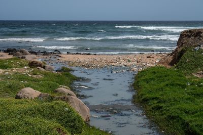 Imperial Beach and Tijuana Slough Shorelines Closed Over Sewage as Five More San Diego Beaches Carry Bacteria Advisories