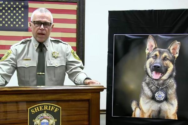 Death of Tenessee sheriff’s office canine leads to criminal investigation
