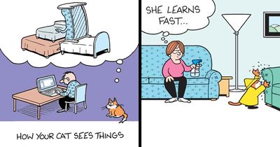 29 New Comics By Mark Parisi That Capture The Odd Little Habits Every Cat Owner Knows