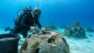 Eternal Reefs: One man’s wish sparks new sea memorials; thousands now deployed