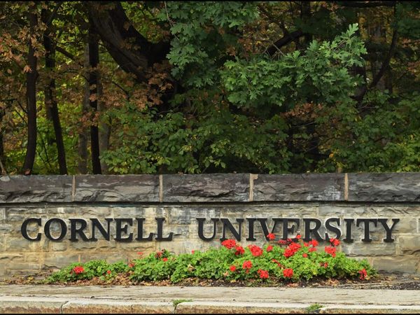 Cornell University gang-rape: Student alleges 7 frat members raped her; 2 expelled, others wrote essays as new Snapchat chat emerges