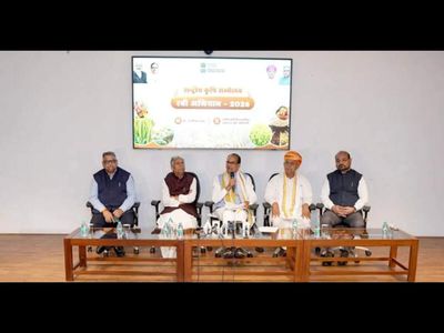 Foodgrain target for 2026-27 cut to 374 MT amid El Nino concerns; Rabi pegged at 178 MT
