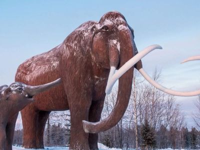 Why bringing back the woolly mammoth isn’t a simple cloning job — scientists are solving a massive genetic engineering puzzle