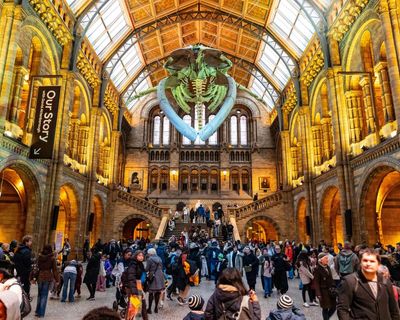 England’s national museums to remain free to overseas visitors