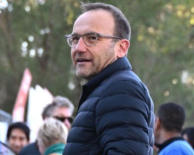 From One Nation to fossil fuels, Adam Bandt and Bob Brown reveal vision for Greens ahead of leadership showdown