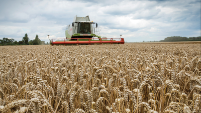 In 2002, a 3.5km sea wall was breached in five places at a 283-hectare Essex arable farm