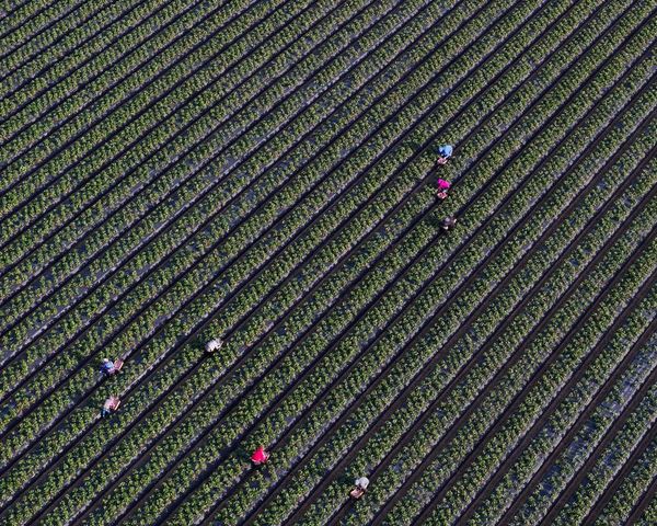 Key data missing for half of US child labor deaths, official report finds