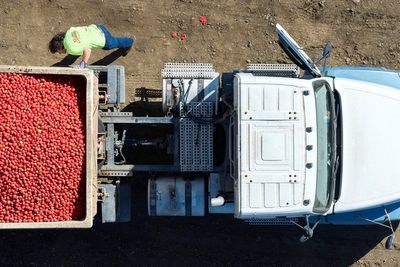 16 American trucking companies file for bankruptcy as diesel costs soar