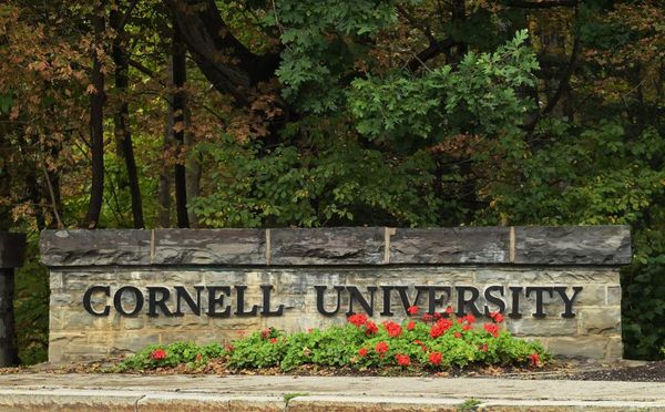 Texts about alleged Cornell gang-rape released after investigation reopened