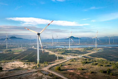'Grid, Grid, Grid': Renewables Chief Says Power Networks Are Energy Security's Most Urgent Fix