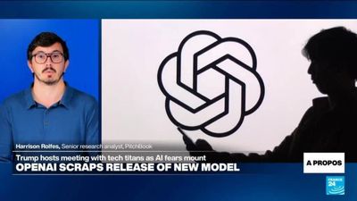 Safeguards 'build a moat' around US AI firms, prevent open-source models from advancing, expert says