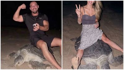 Ukrainian influencer Vadym Oleynik, partner face backlash after riding nesting sea turtle in Oman
