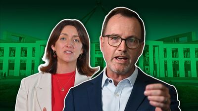 Greens issue call to arms as leadership loser hits out