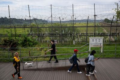 South Korea demands apology from Kim Jong Un over ‘North Korean landmines’ in DMZ