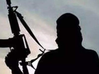 Top LeT terrorist killed in encounter in J&K's Budgam