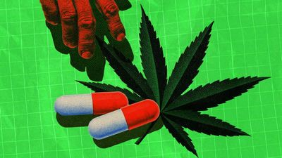 Hazy Drug Classification Criteria Invite Dubious Bureaucratic Judgments