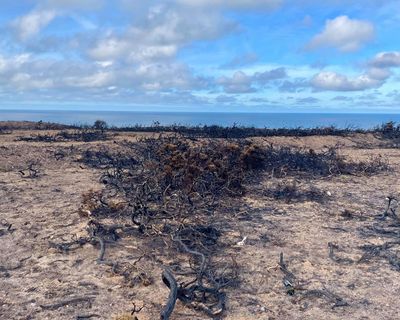 Country diary: The land here is scarred from a year of hard weather – now what will winter hold?