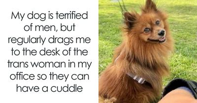 74 Hilariously Ridiculous Memes For People Who Don’t Take Life Too Seriously
