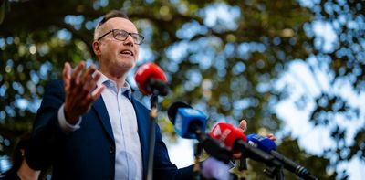 Amid rising support for right-wing minor parties, can David Shoebridge reinvigorate the Greens?