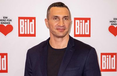 Hayden Panettiere's family support Wladimir Klitschko's guardianship application