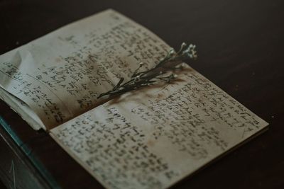 Voynich Manuscript 'Decoded' by WitchTok? Viral Theory Claims Women Used Period Blood to Grow Mysterious Plants