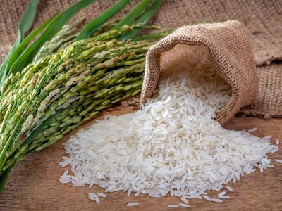 India's rice industry looks beyond grain for next billion-dollar opportunity